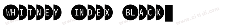 Whitney Index Black字体转换